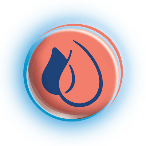 Bebilon ikona ALA_v2