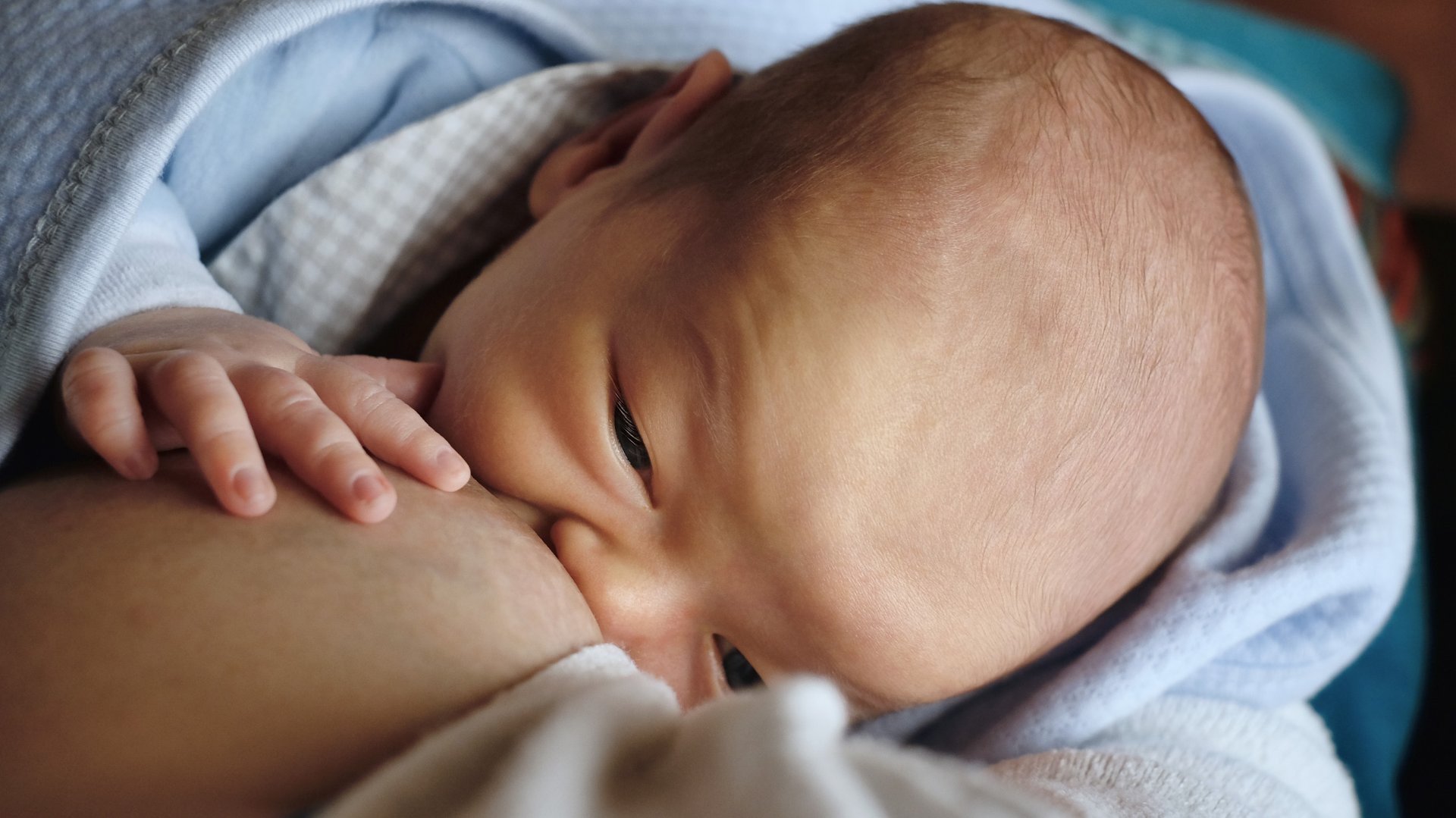 Dziecko pije mleko trzymajac mame za piers